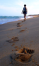 PHOTO Beach walking